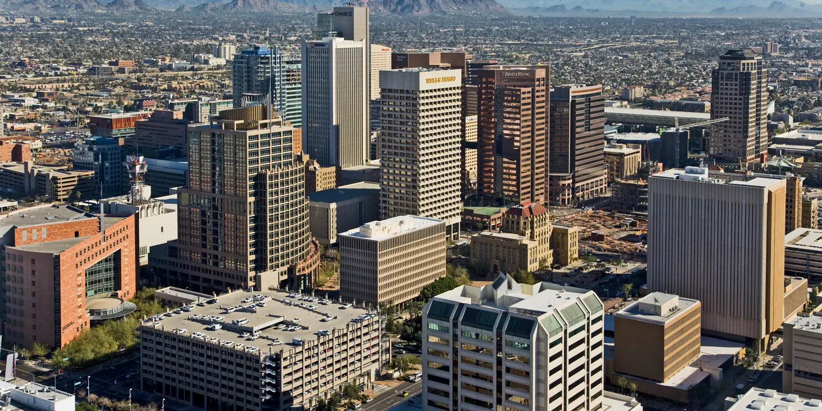 Stylized Phoenix-area desert skyline with saguaro silhouettes and a website mockup